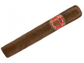 Saint Luis Rey Regios