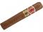 Romeo y Julieta Wide Churchills