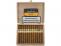 Cohiba Linea Clasica Exquisitos